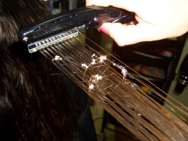Секутся волосы: что делать, как убрать по всей длине в домашних условиях, как избавиться от сильно секущихся кончиков, сеченые