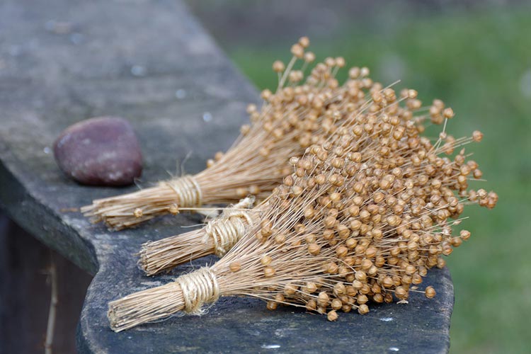 Маски для волос из льняного семени: применение и отзывы